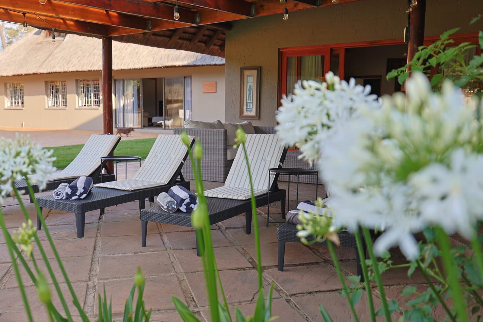 Maxwell Stay estate on the Vaal River
